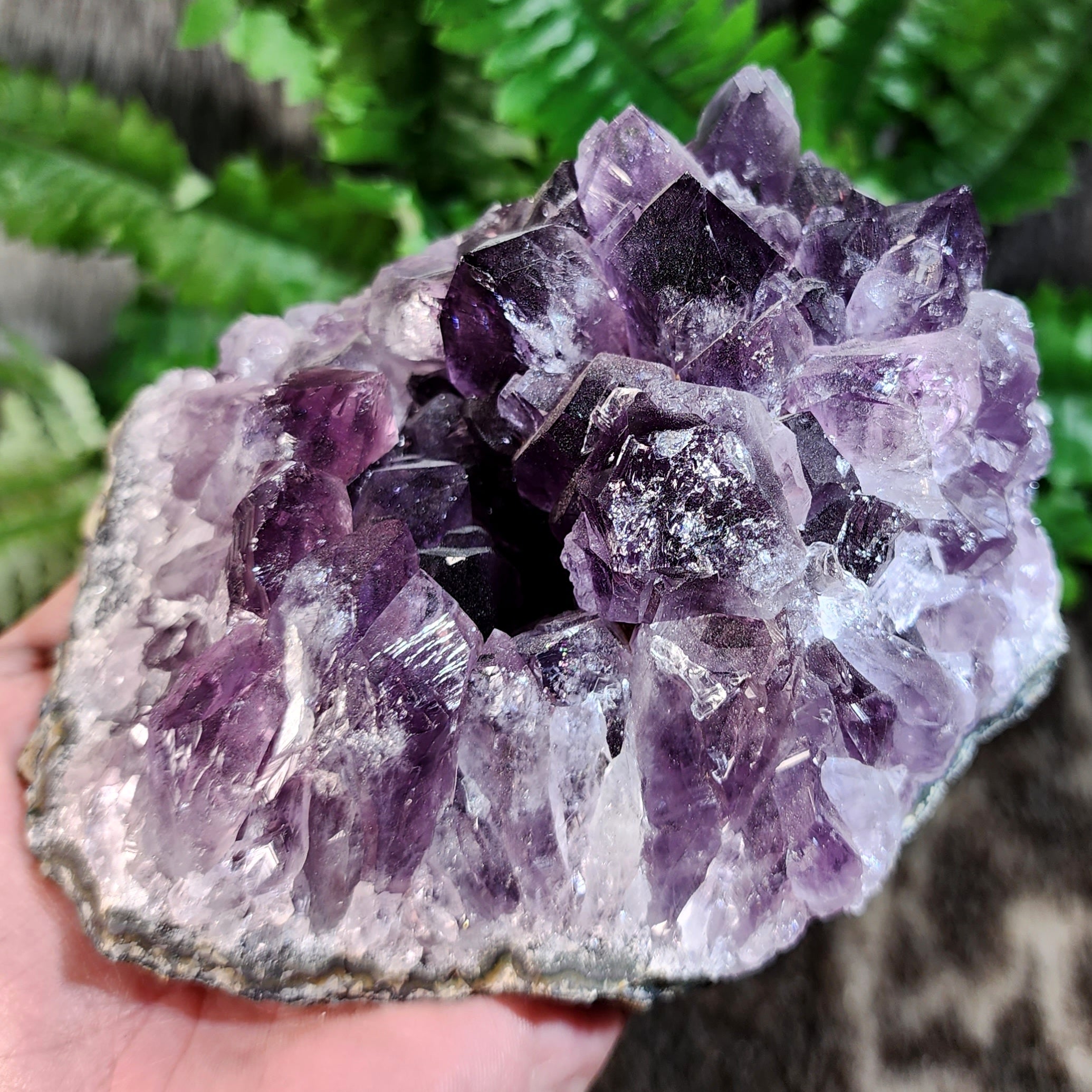 Amethyst Crystal Cluster B (5.25