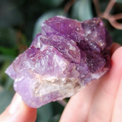 Amethyst Crystals, Thunder Bay K (2.25