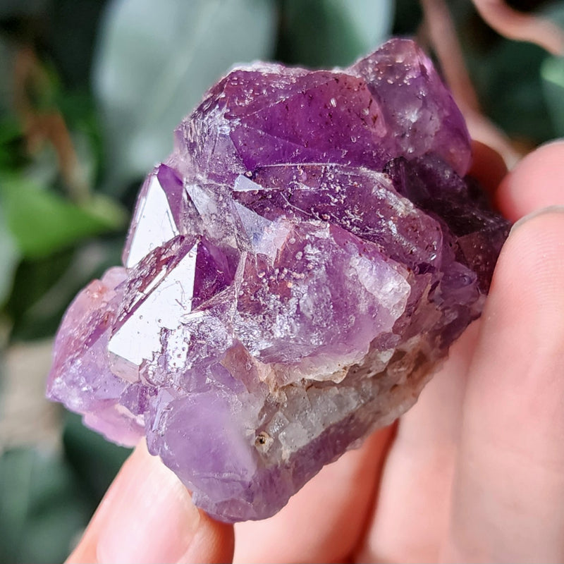 Amethyst Crystals, Thunder Bay K (2.25")