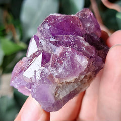 Amethyst Crystals, Thunder Bay K (2.25