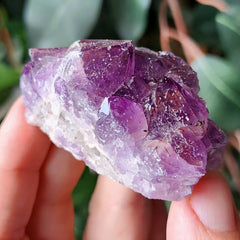 Amethyst Crystals, Thunder Bay K (2.25