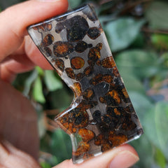 Sericho Pallasite Meteorite B (14.5g)