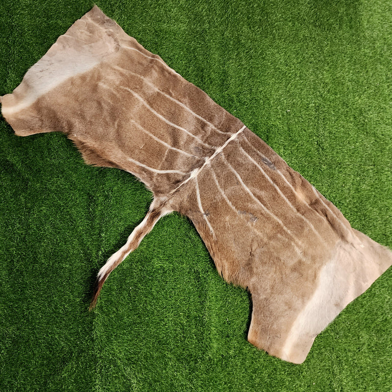 Kudu Pelt Segments