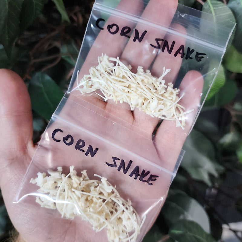 Corn Snake Bone Bags