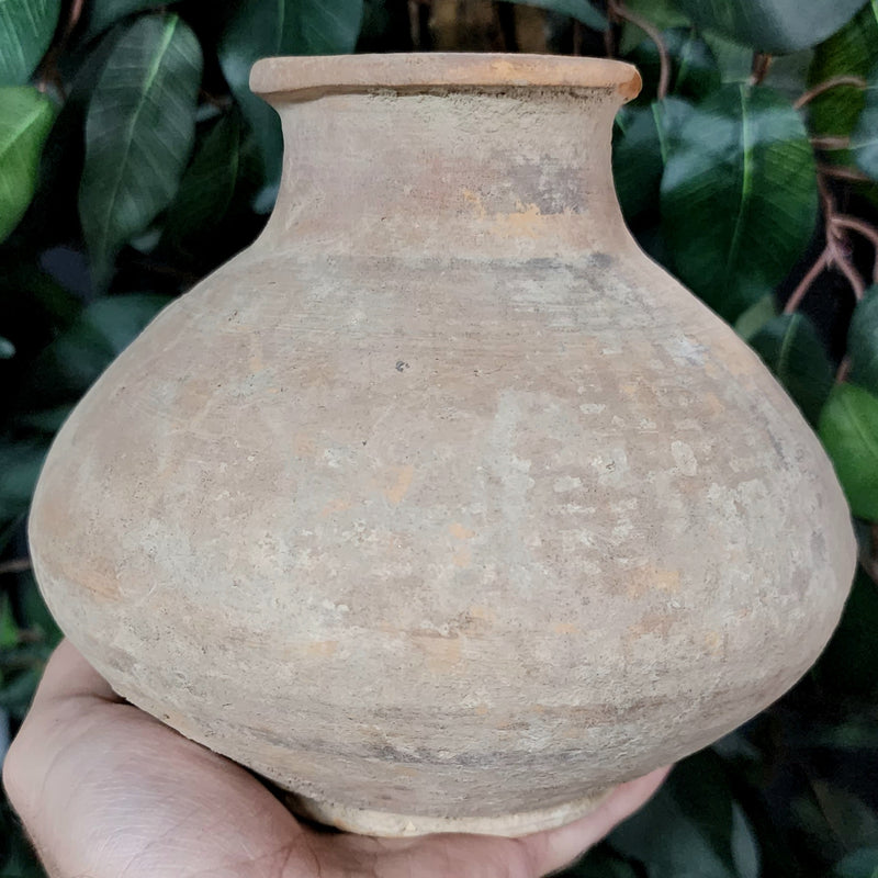 Indus Valley Pot B (6.25")