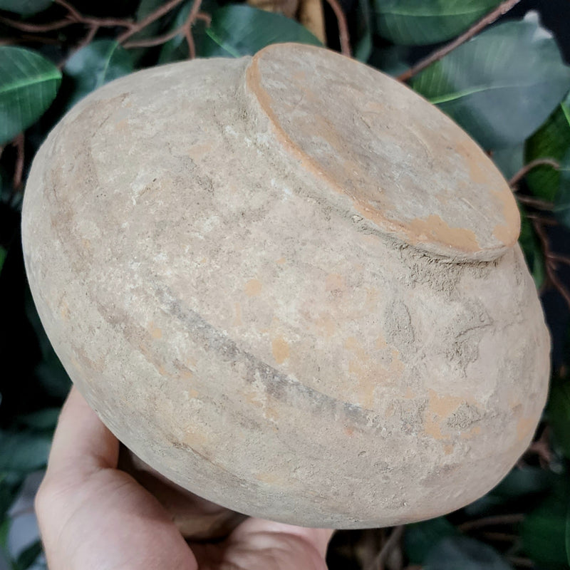 Indus Valley Pot B (6.25")