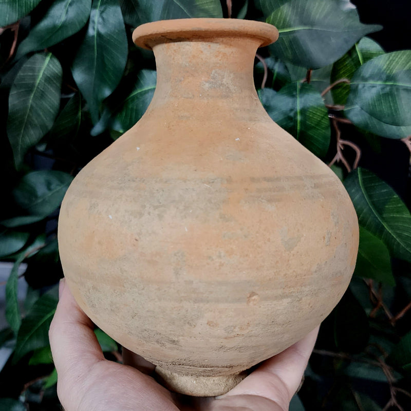 Indus Valley Pot C (6")