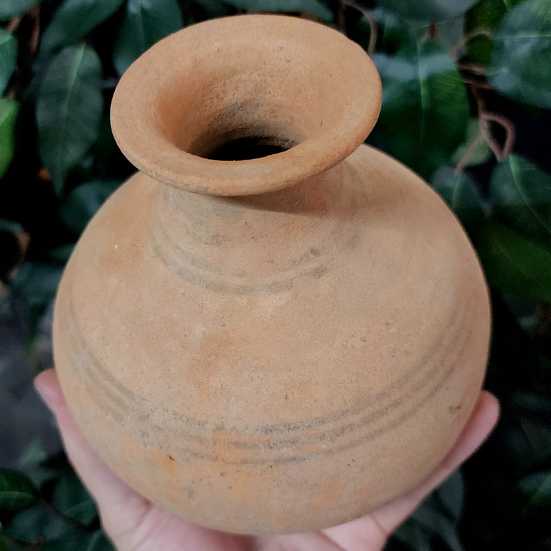 Indus Valley Pot C (6")