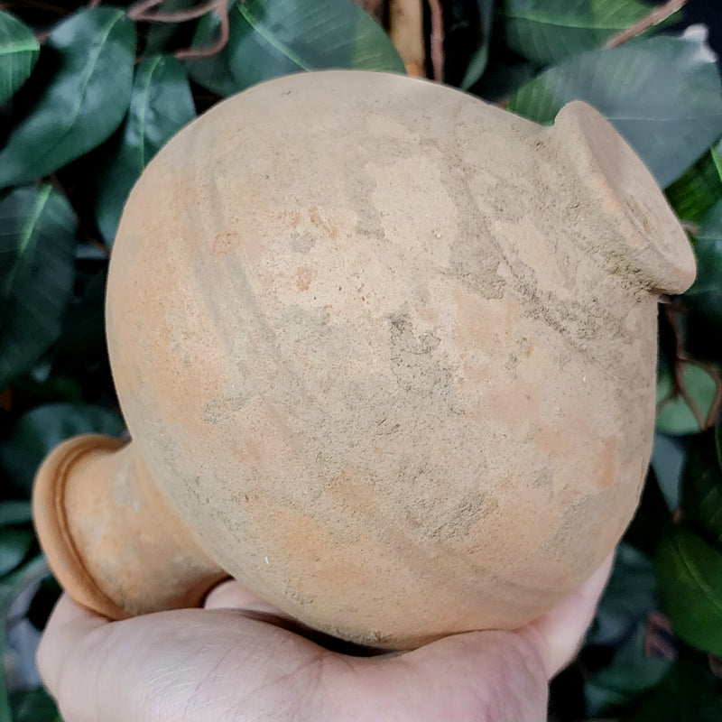 Indus Valley Pot C (6")