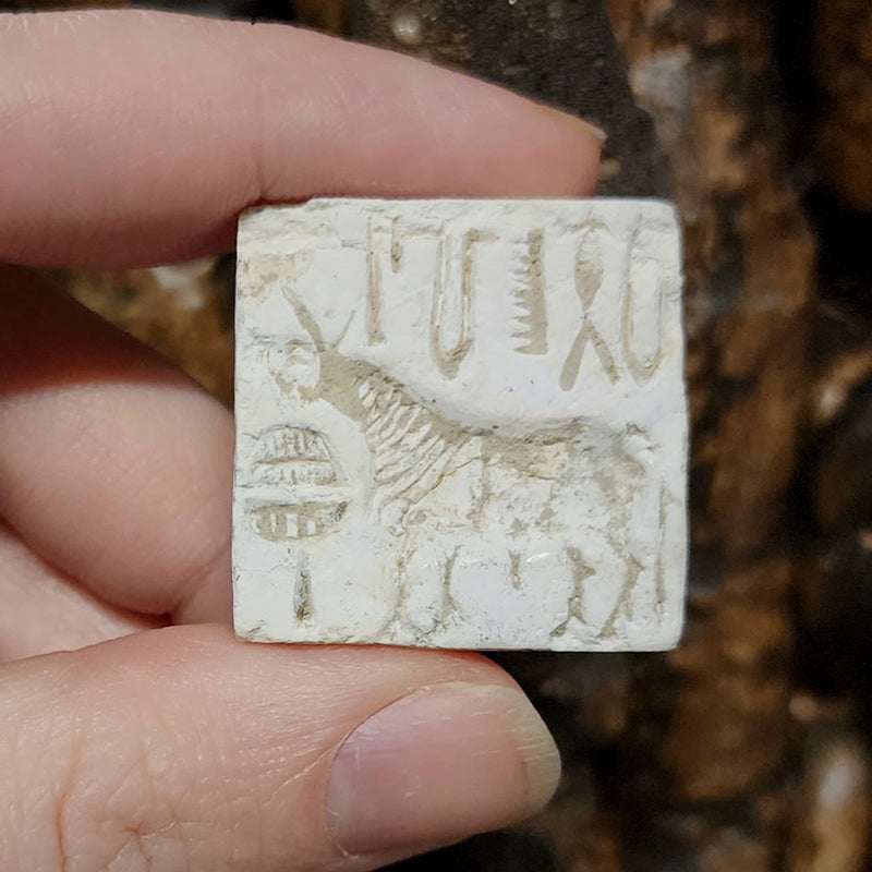 Indus Valley Unicorn Seal, A