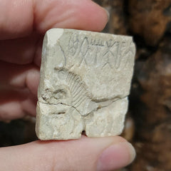 Indus Valley Unicorn Seal, D