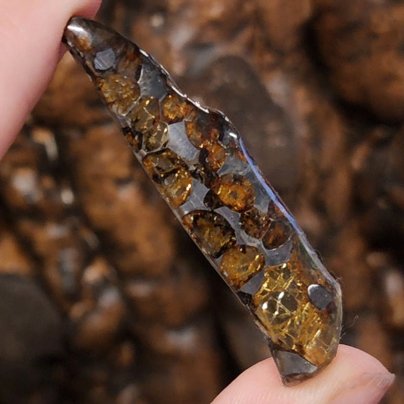 Seymchan Pallasite Meteorite A (2")