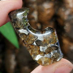 Seymchan Pallasite Meteorite B (2