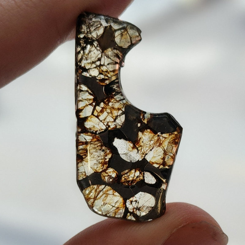 Seymchan Pallasite Meteorite B (2")