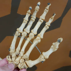 Human Hand, Articulated C