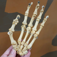 Human Hand, Articulated B