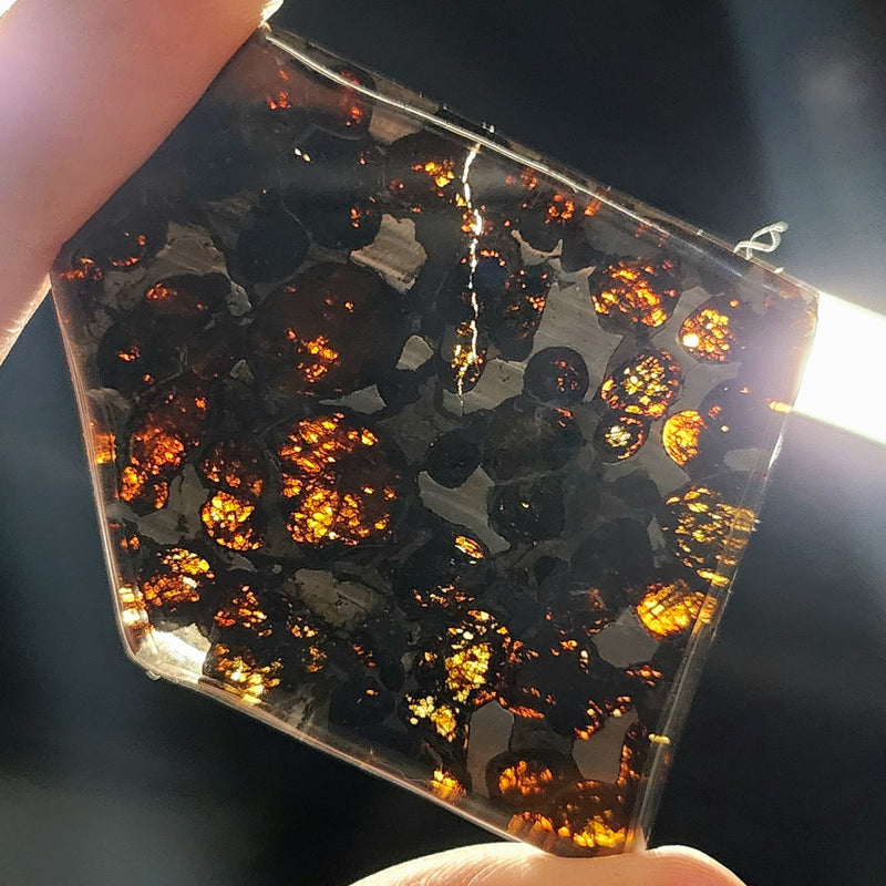 Sericho Pallasite Meteorite K (2")