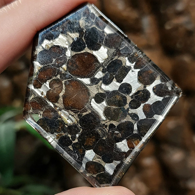 Sericho Pallasite Meteorite K (2")