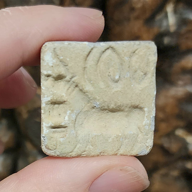 Indus Valley Unicorn Seal, E