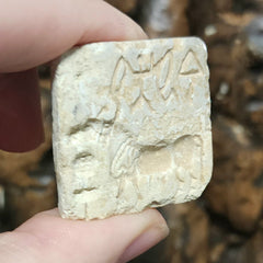 Indus Valley Unicorn Seal, F