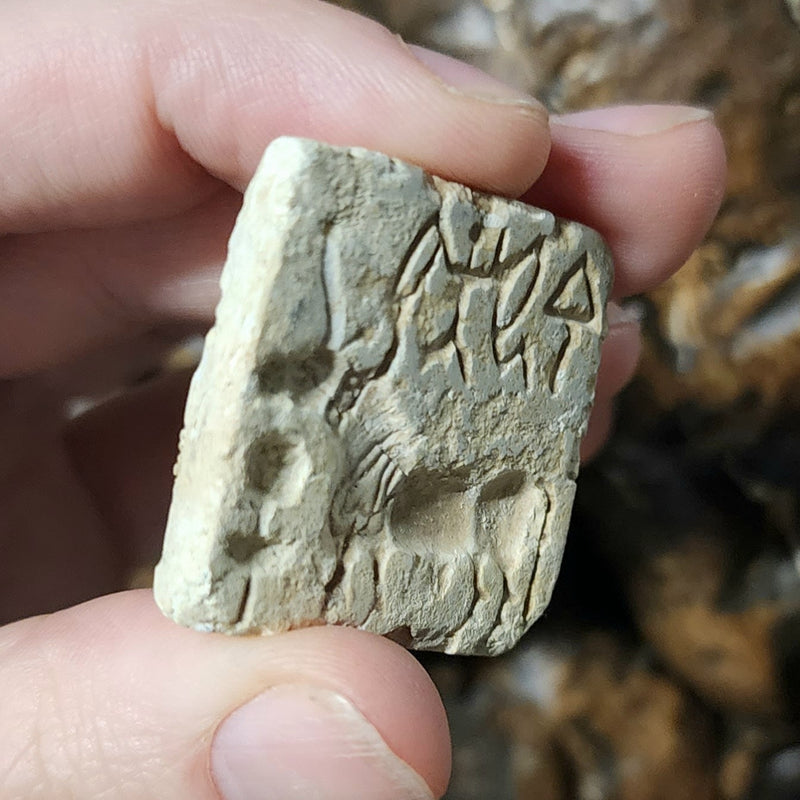 Indus Valley Unicorn Seal, F