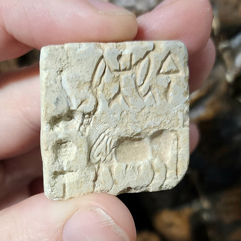 Indus Valley Unicorn Seal, F