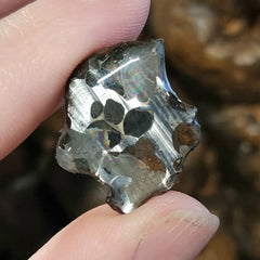 Seymchan Pallasite Meteorite C (1.5