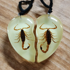 Scorpion Friendship Necklaces, Glow In The Dark