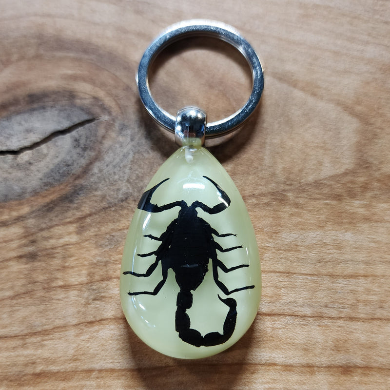 Scorpion Keychain (Glow in the Dark)