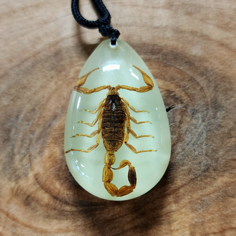 Scorpion Necklaces, Glow In The Dark