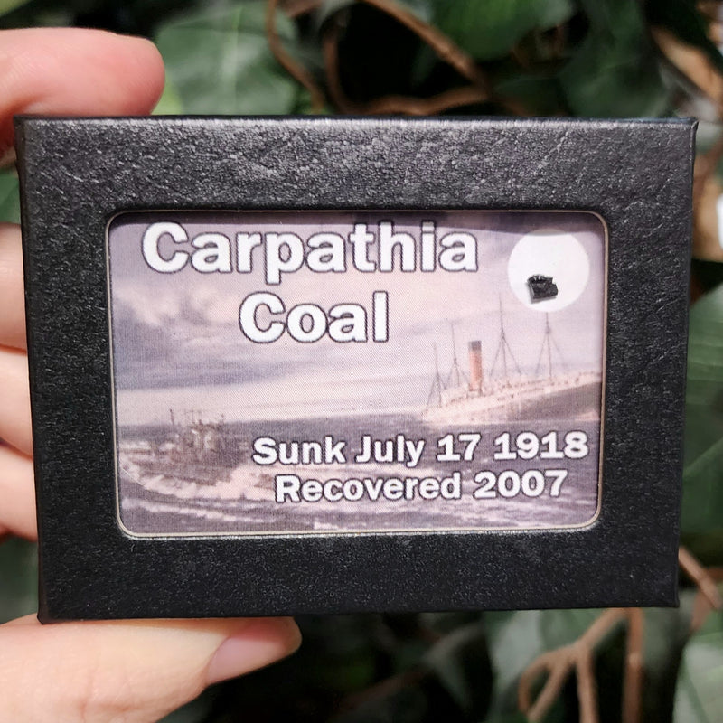 Carpathia Coal Specimens