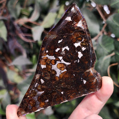 Sericho Pallasite Meteorite G (4