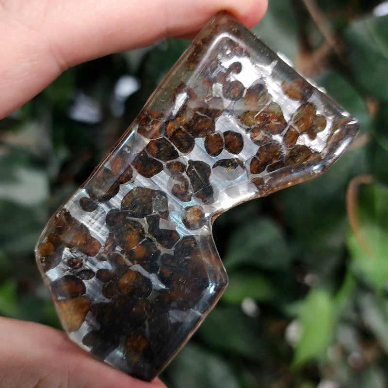 Sericho Pallasite Meteorite F (3.25")