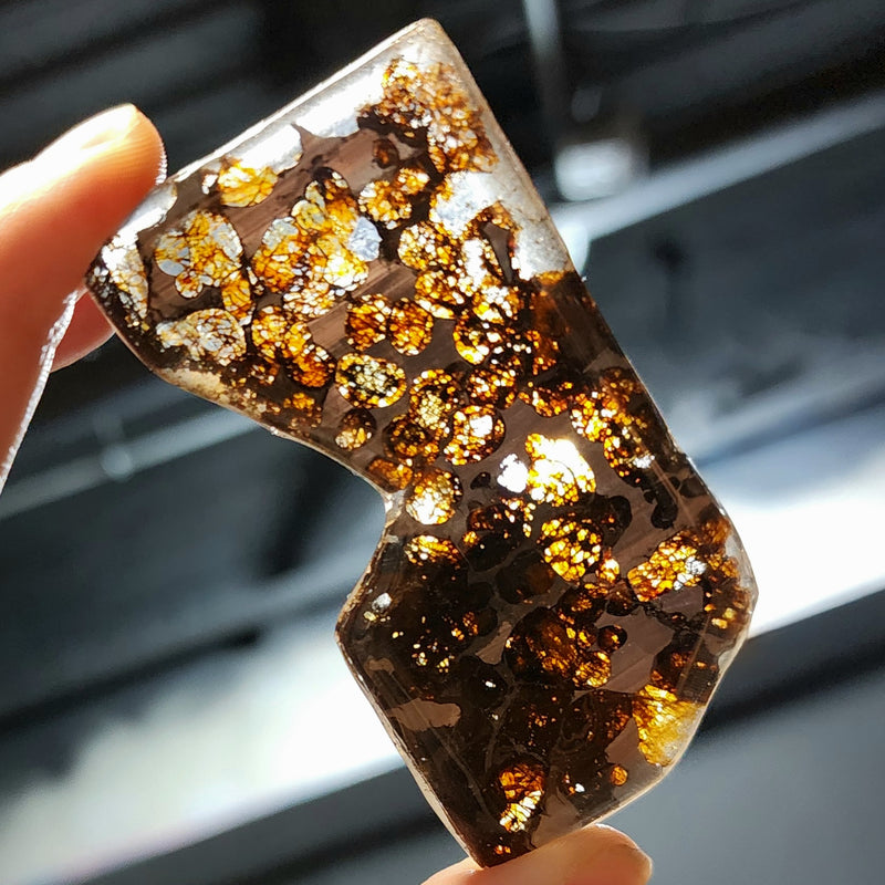 Sericho Pallasite Meteorite F (3.25")