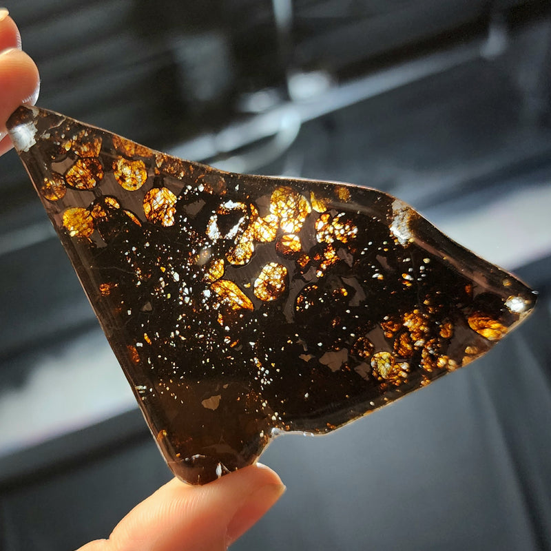 Sericho Pallasite Meteorite G (4")