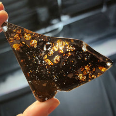 Sericho Pallasite Meteorite G (4