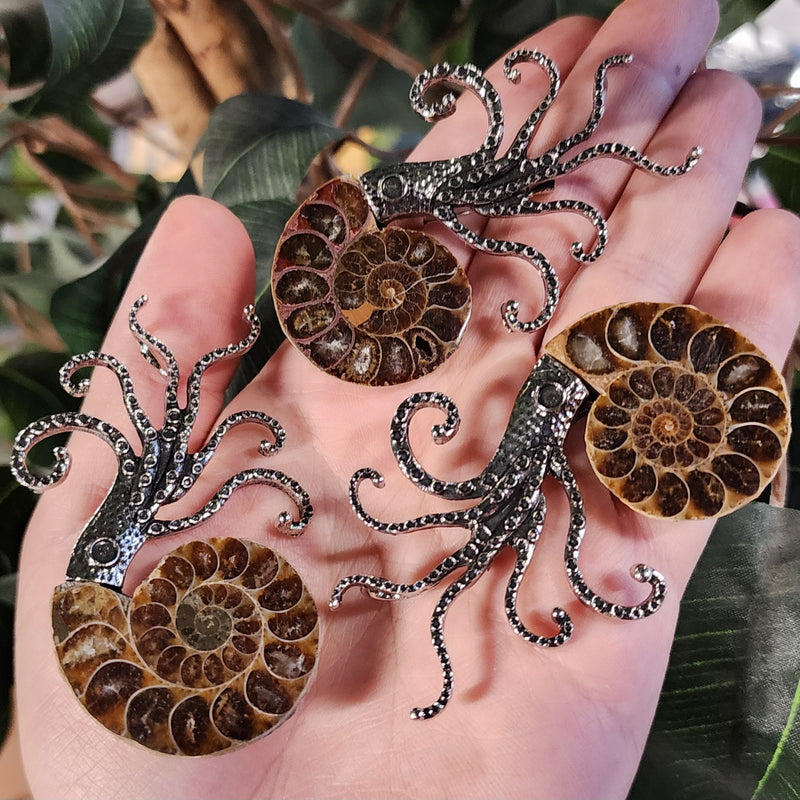 Ammonite Fossil Brooches