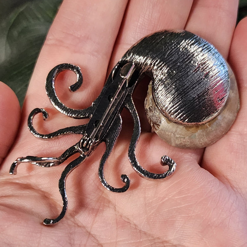 Ammonite Fossil Brooches