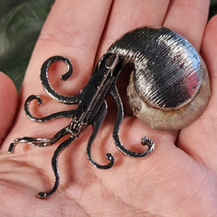 Ammonite Fossil Brooches