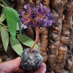 Crystal Tree, Amethyst & Fluorite