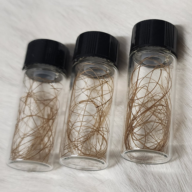 Woolly Mammoth Hair Vials