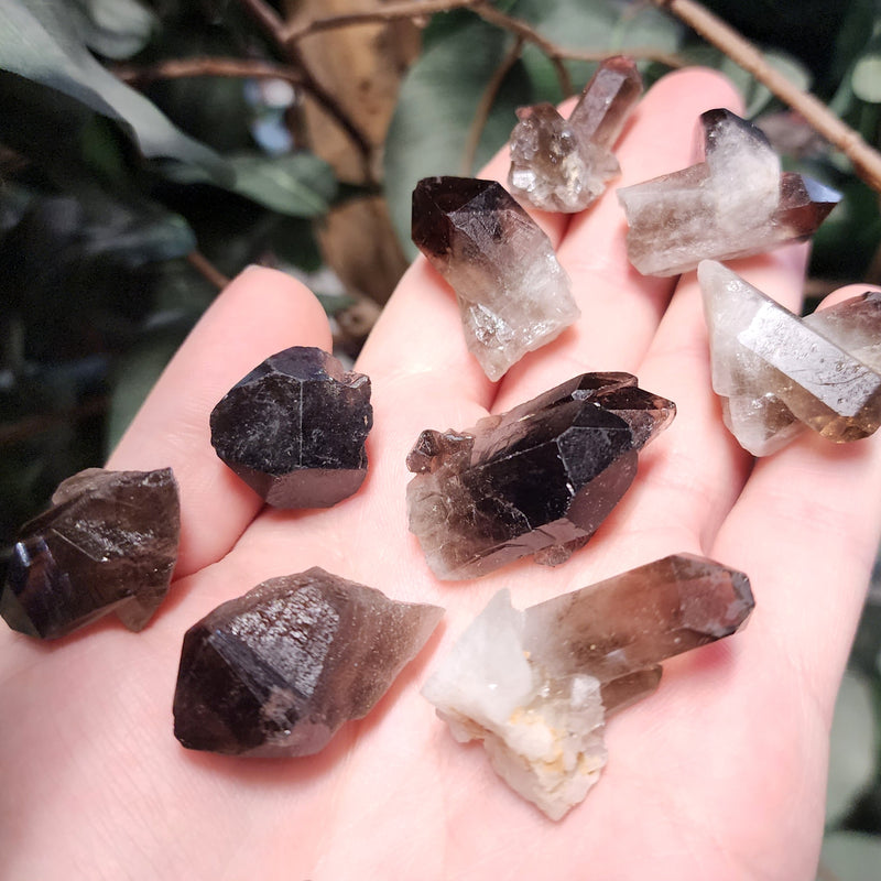 Smoky Quartz Crystal Points (1-1.25")