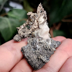 Native Silver, Morocco A (2.5