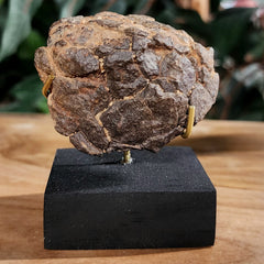 NWA Meteorite, On Stand B (93.2g)