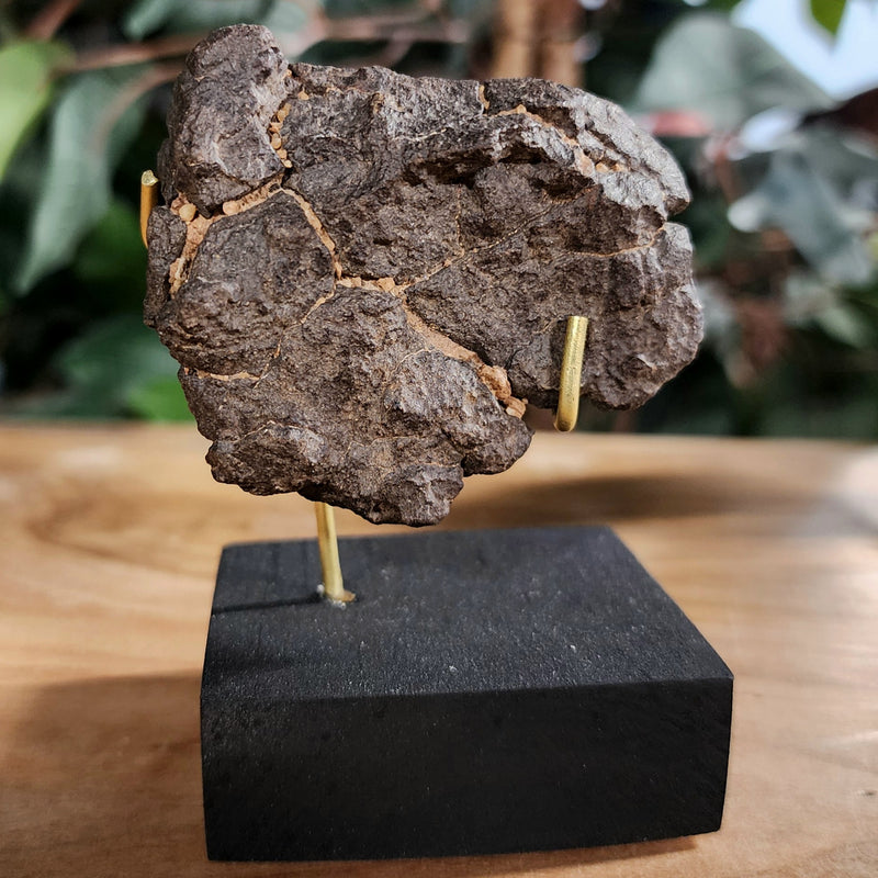 NWA Meteorite, On Stand A (91.1g)