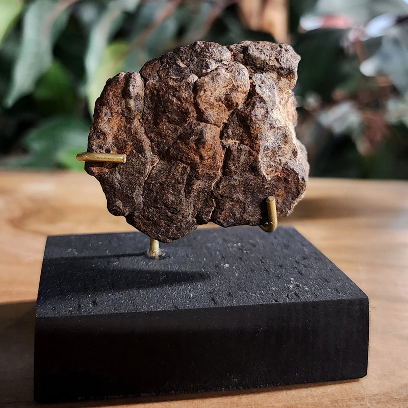 NWA Meteorite, On Stand D (54g)