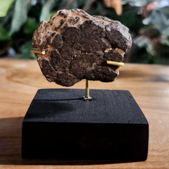 NWA Meteorite, On Stand C (60.4g)