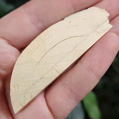 Woolly Mammoth Tusk Fragment F (2.75