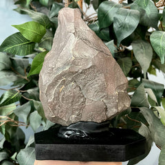 Ancient Acheulean Hand Axe, Morocco X (XL)