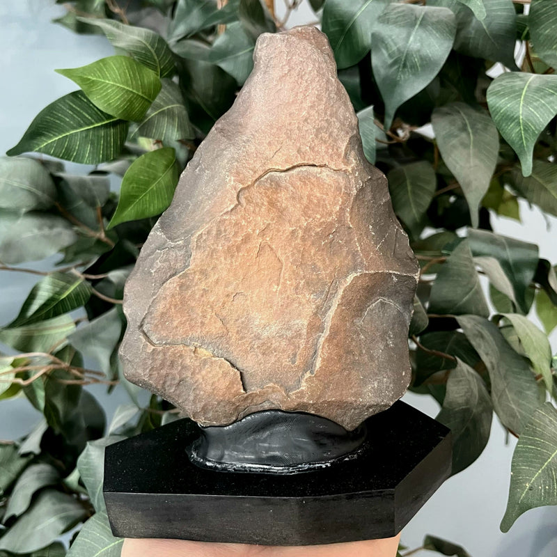 Ancient Acheulean Hand Axe, Morocco X (XL)